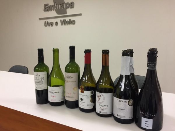 Degustação D.O. vale dos vinhedos