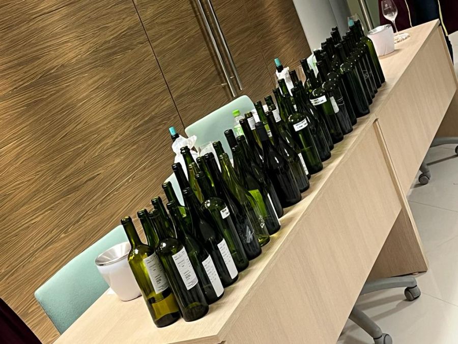 Encontro de Maio 2023 - Vinhedos Capoani